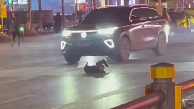 大过年的，都去劝劝架啊