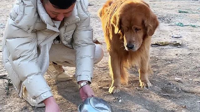 主人带狗子放炮炸狗盆，最后狗子不乐意了