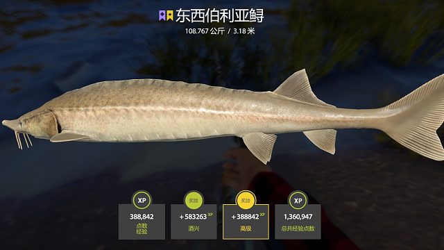 遲到的星東子 2876土蠶