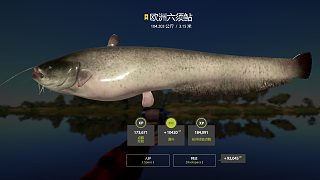 現(xiàn)場(chǎng)解說，拉豬趕魚和起魚個(gè)人方法。
