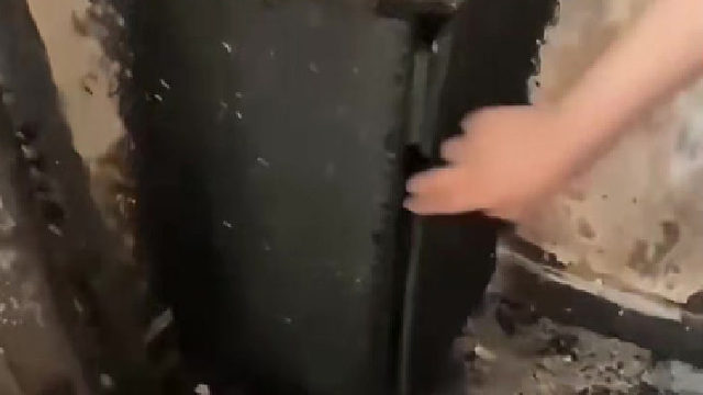 火灾后偷偷躲起来生了一窝哈基米