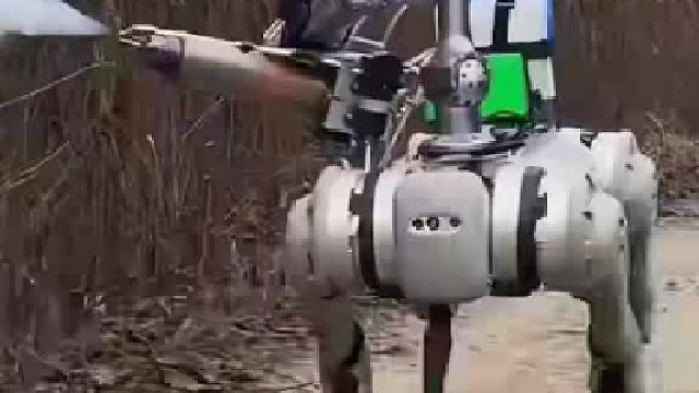 机械狗开始撒农药了