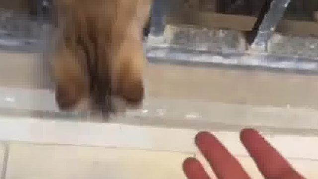 小猫咪：女人变脸真的比翻书快