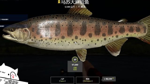 馬蘇大馬哈
