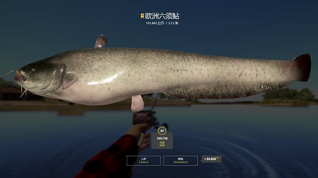 小博雷開光 小15 101k小星豬