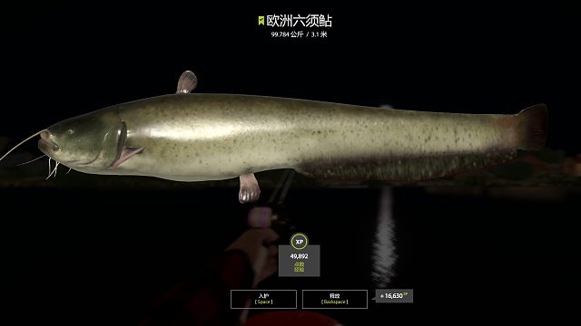 喜聞樂見牛馬豬99.784