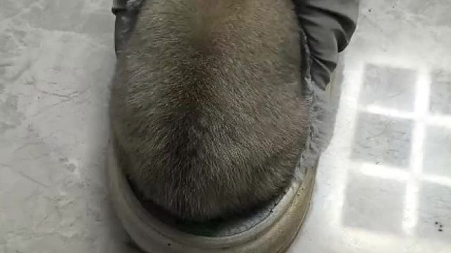 狗子：“你就是贱，旁边不是留一个给你了吗？非要来跟我抢