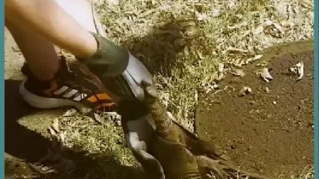 小哥发现不明物种，拉起来一看傻眼了