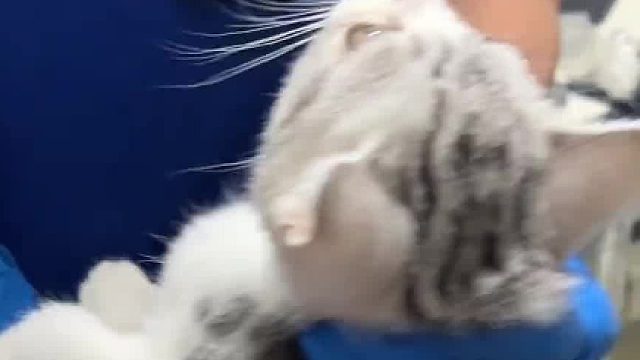 我打死也没想到是这个龙