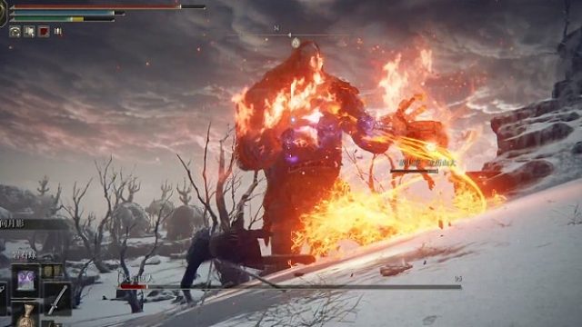 vs 火焰巨人（就是想一睹壶哥的火焰升龙拳）