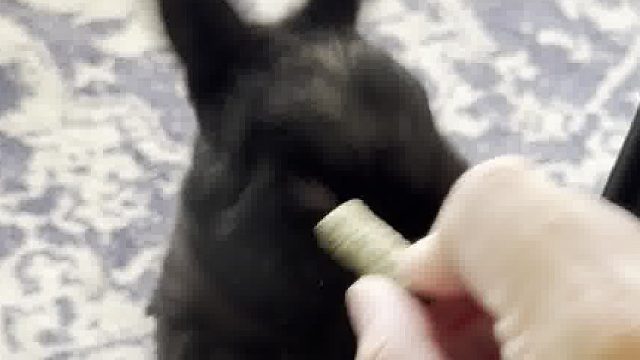 兔：给大家表演一个传统武术项目——枪扎脑袋