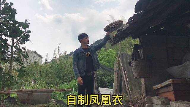 鸡蛋壳不要再扔了，教你做凤凰衣