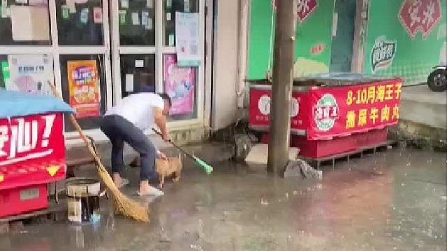 狗：我不要面子的啊