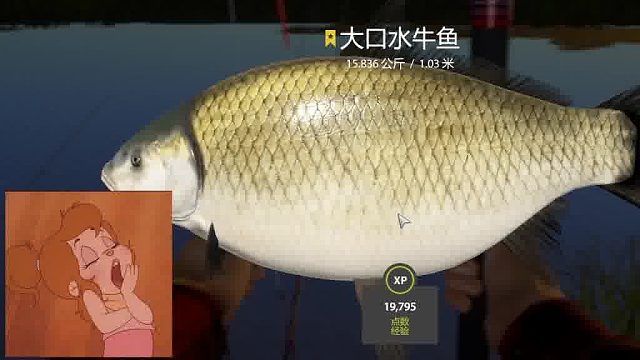 萌新上星大口啦