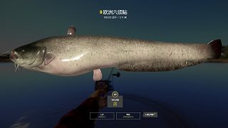 小15又來壓線小星豬