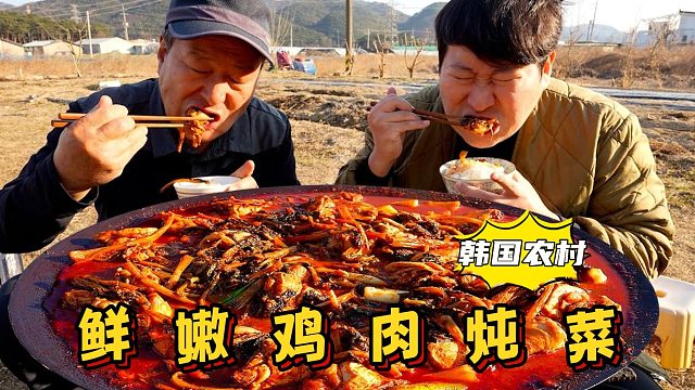 和爸爸一起享用鸡肉炖菜，肉质鲜嫩，香气满满，怎么吃都不够！