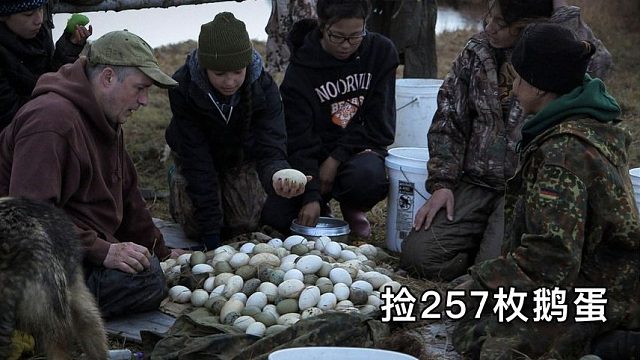 零度以下的生活：捡257枚鹅蛋、狩猎3只野鸭、挖木苏根