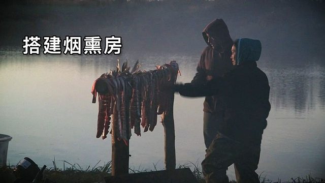 零度以下的生活：复合弓狩猎黑熊、狩猎驯鹿、捕捞白鱼搭建冷藏室