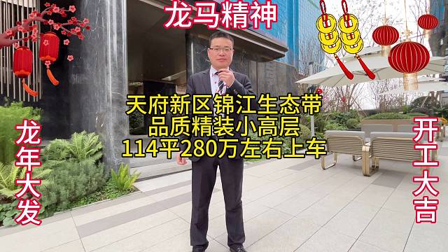 成都，天府新区，品质小高层，
114平套三双卫，精装修，
2梯两户，17层，280万上车