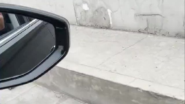 路边救助了一只流浪猫，被车撞得很严重