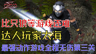 虎牙首份 忍者龍劍傳1Σ 第3關(guān)超忍難度全程真無傷