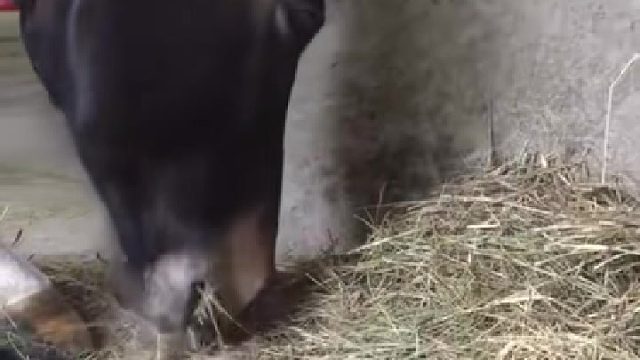 5000年来，我们永远最在乎的两个东西：吃和住。