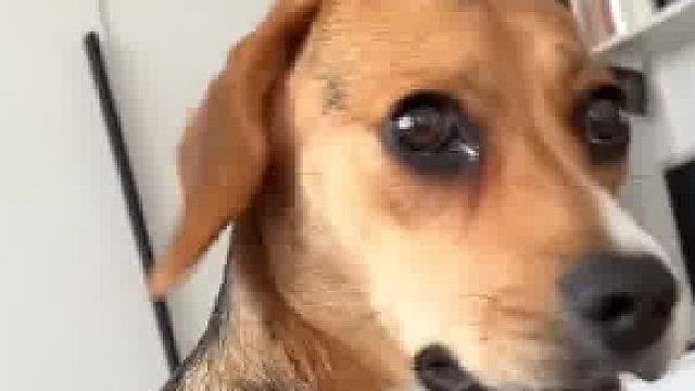 果然，什么物种都怕…妈…