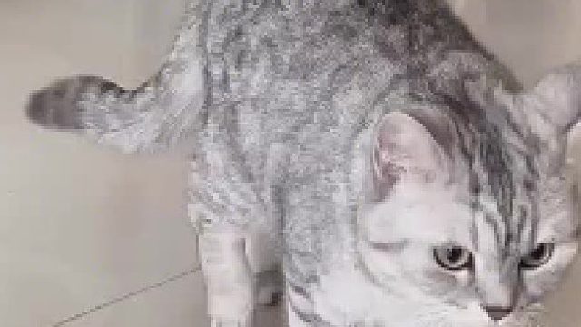 你怕不是有什么大病吧