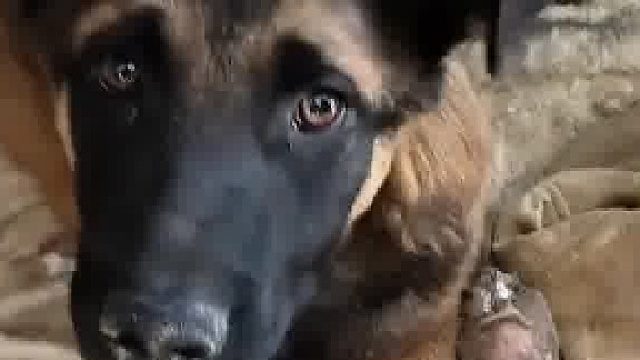 它不干点坏事，它都对不起它这个名字