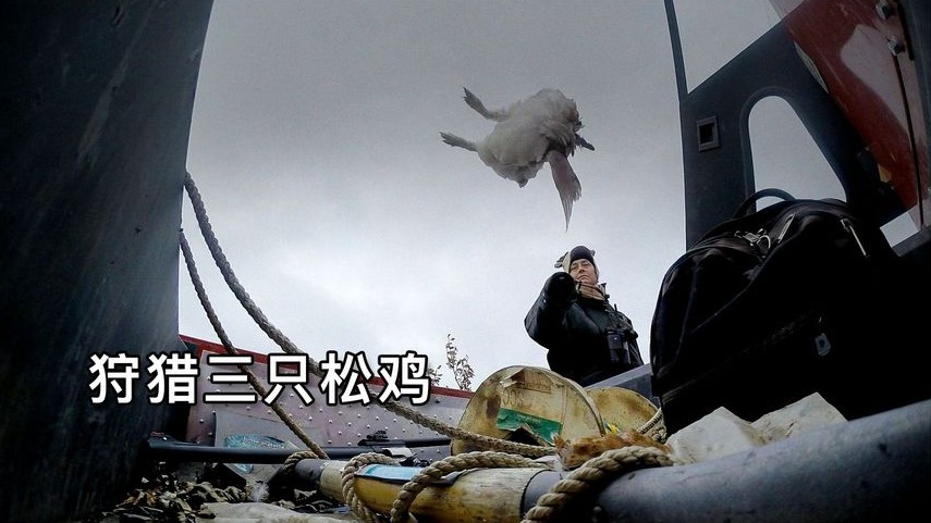 零度以下的生活：收获宅基地、狩猎三只松鸡、捕获半吨驼鹿