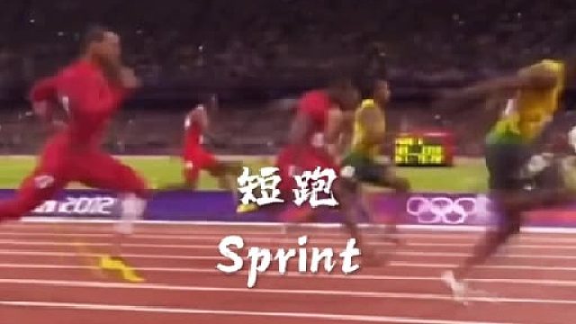 爱意东升西落，田径至死不渝