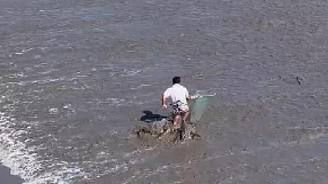 抓潮头鱼的快乐