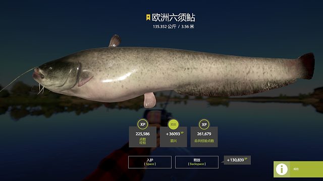 别趴窝，我害怕。