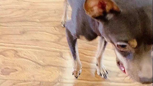 它想要的很简单