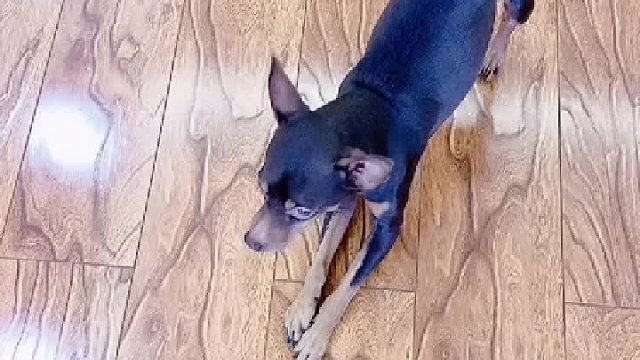 求人办事太难了