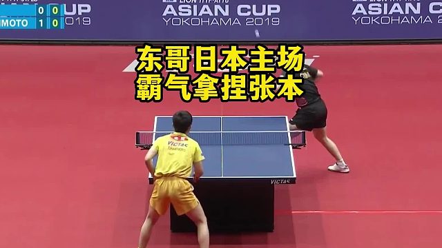 中日乒乓新王的激情对决
