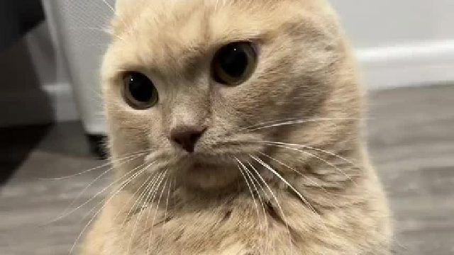 给人一种本事很小，脾气很大的感觉！