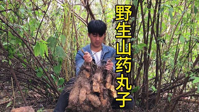 冬天的山药就像我这样做，香酥软糯的山药丸