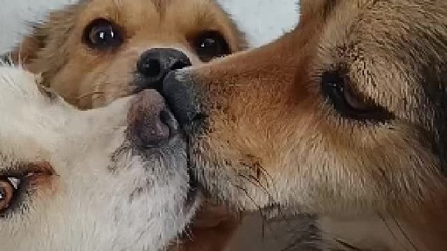 相亲相爱一家亲