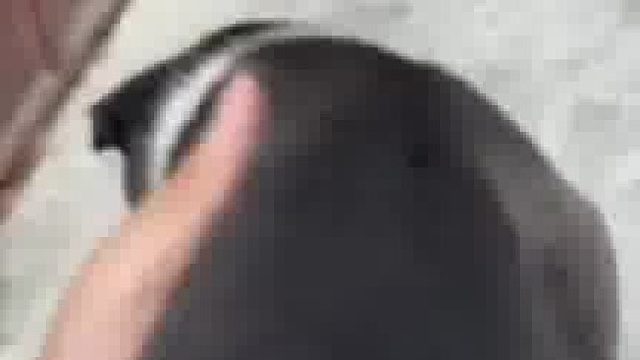 狗：兄弟们别让狗贩子出了我们村狗：兄弟们别让狗贩子出了我们村