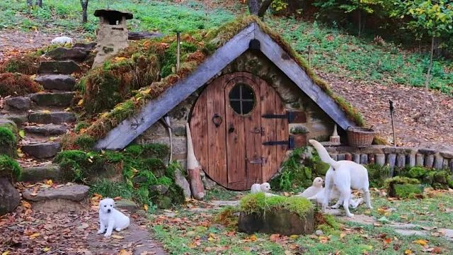 小伙徒步野外意外偶遇废弃木屋，仅凭一己之力，巧手打造豪华别墅