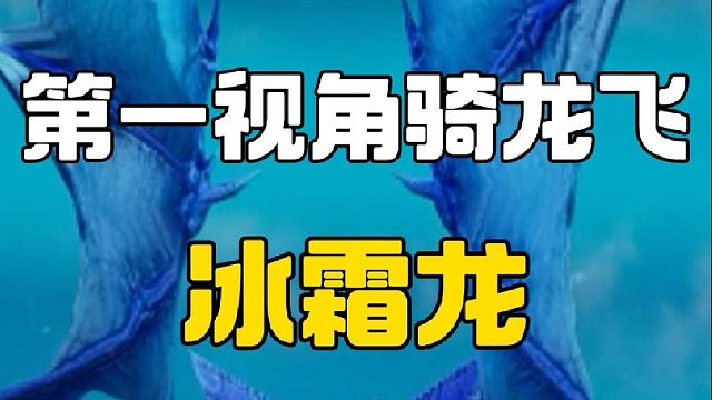 龙年当然要骑龙啦！