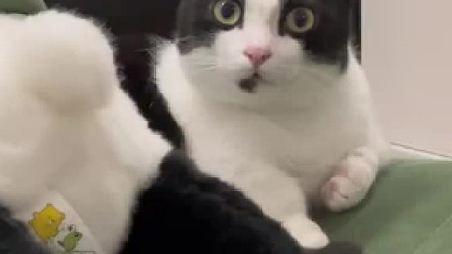 一天八百个心眼