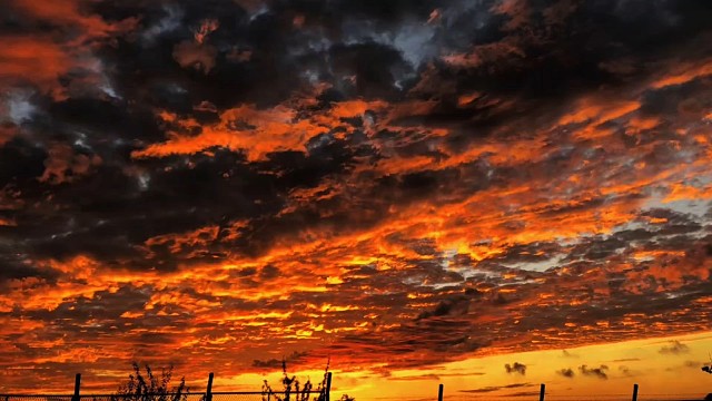 ( ｡•  •｡｀)