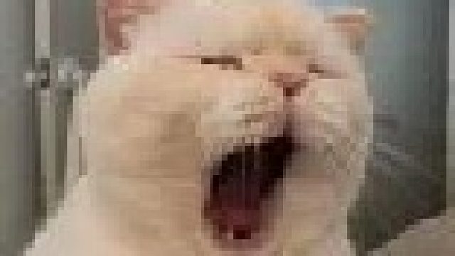 无聊玩玩-片段1