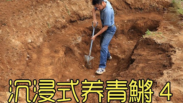 都什么年代了，还在用传统的鱼缸养鱼？