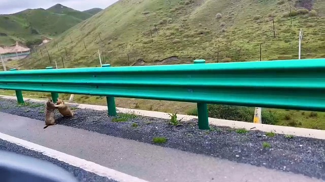 同一个师傅教的，破了招了