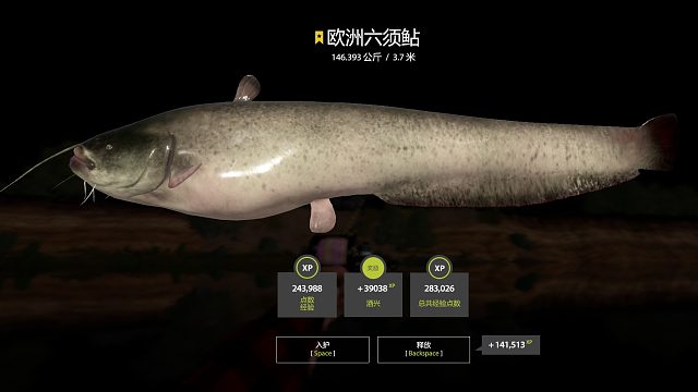 大概是碰瓷---周一星猪