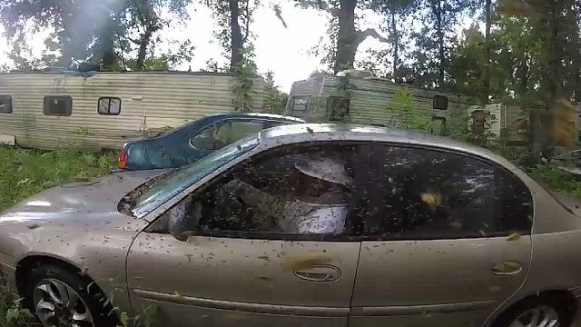 黄蜂在车内建造了一个巨大的巢穴