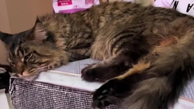 这名字好适合他